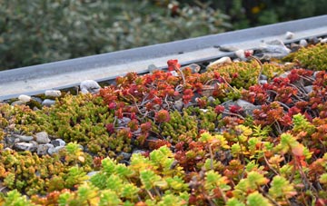 the cost of Totmonslow green roof installation